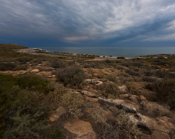 Shark Bay Seascape (World Heritage Lookout) #559