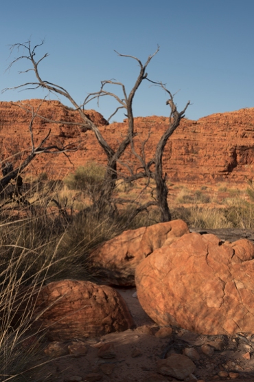 Outback Red Rock Landscape #608