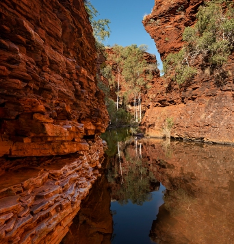 Weano Gorge Reflections #647
